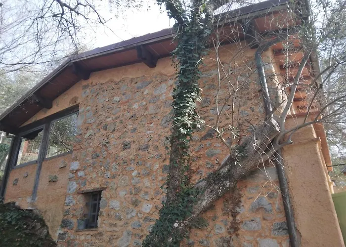 La Merla Del Tasso