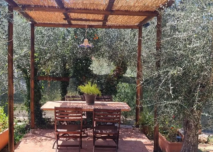 La Merla Del Tasso