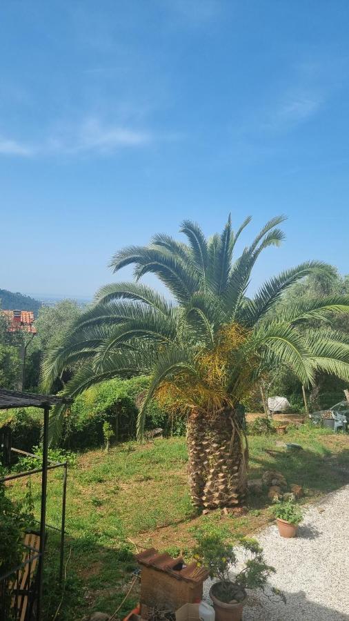 Holiday home La Merla Del Tasso *