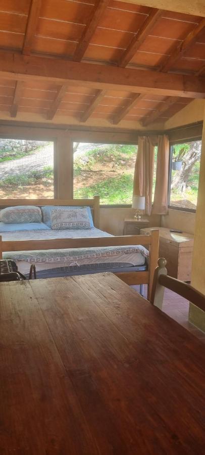 Hébergement de vacances La Merla Del Tasso