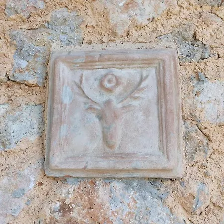 La Merla Casa Vacanze Camaiore Esterno foto