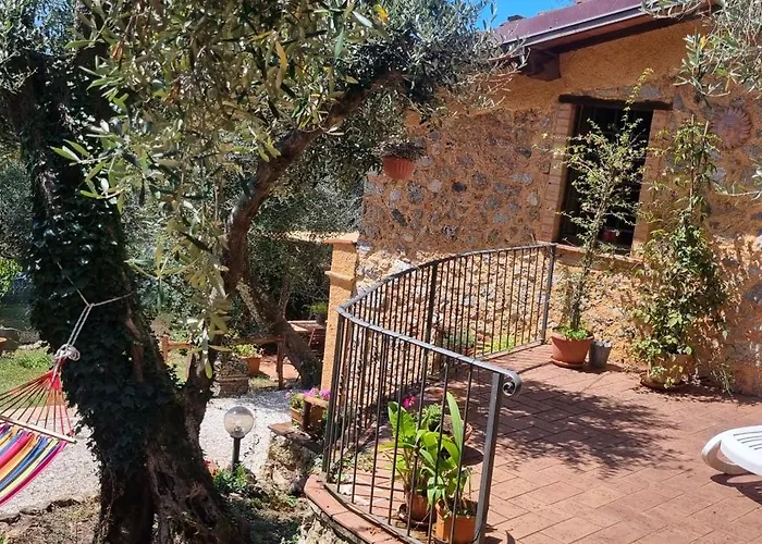 La Merla Del Tasso