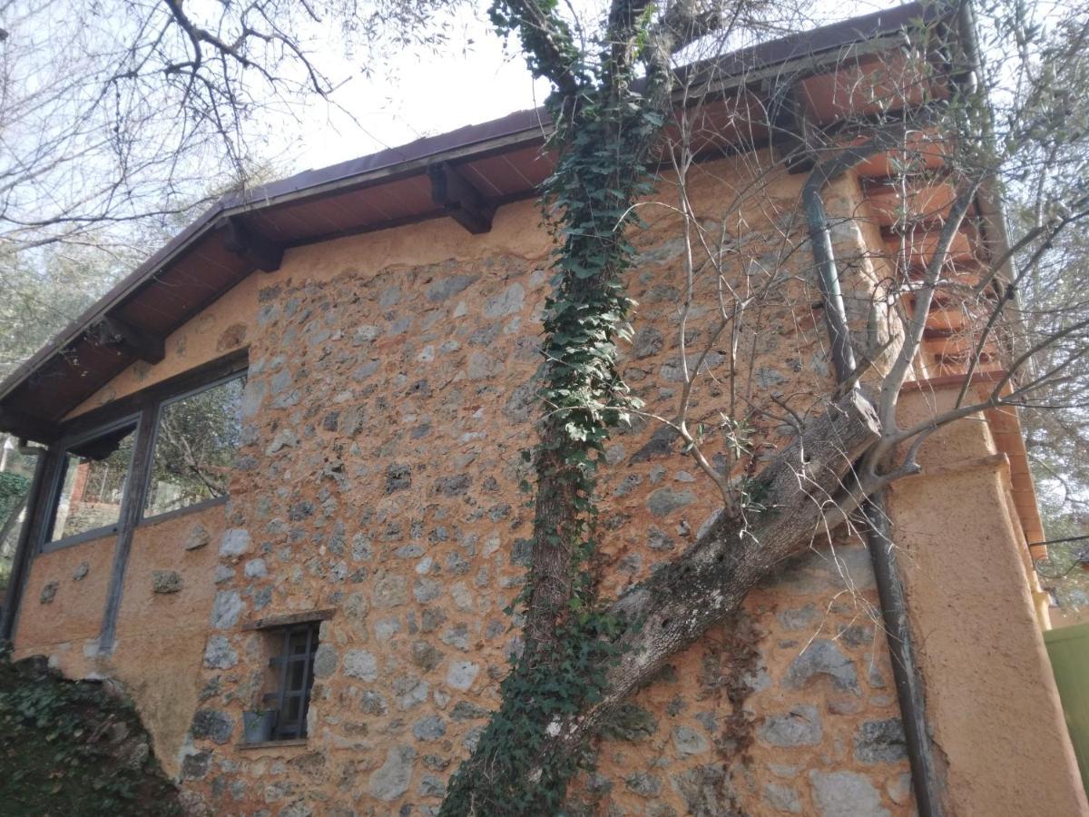 La Merla Del Tasso Casa de Férias Camaiore