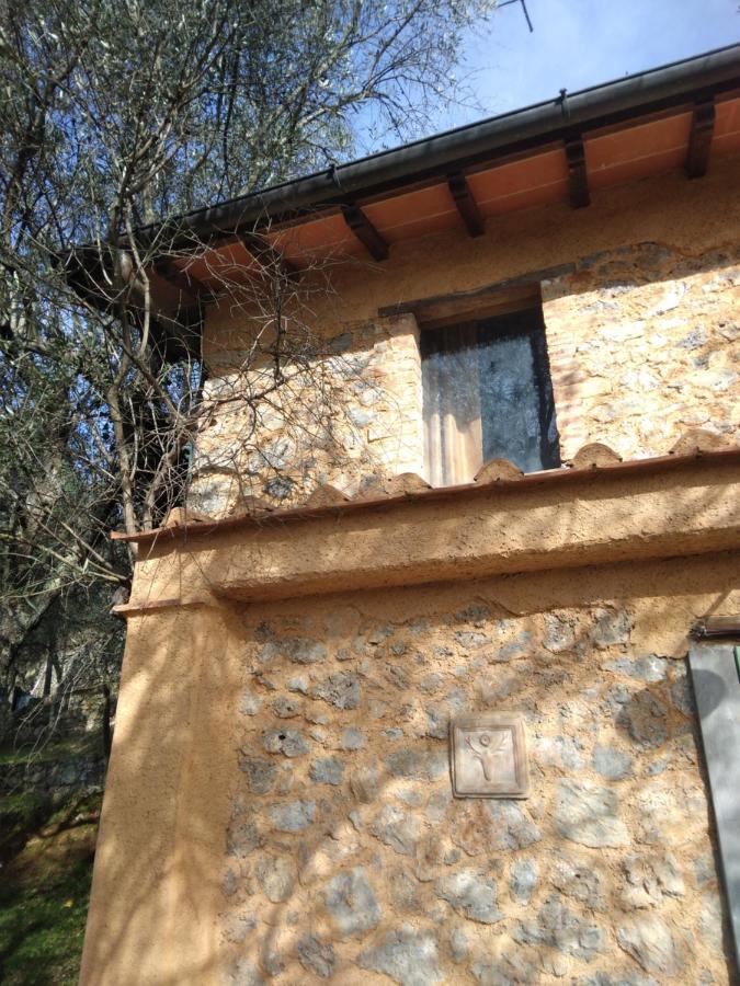 La Merla Del Tasso * Camaiore
